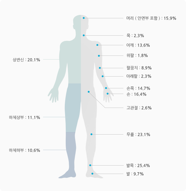 상반신:20.1% 하체상부:11.1% 하체하부:10.6% 머리(안면부포함):15.9% 목:2.3% 어깨:13.6% 위팔:1.8% 팔꿈치:8.9% 아래팔:2.3% 손목:14.7% 손:16.4% 고관절:2.6% 무릎:23.1% 발목:25.4% 발:9.7%
